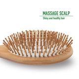 Natural Bamboo Hairbrush and Mini Travel Comb Set