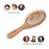 Natural Bamboo Hairbrush and Mini Travel Comb Set