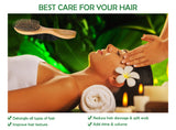 Natural Green Sandalwood Massage Wooden Hair Brush